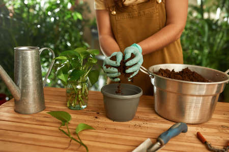Young woman filling pot with ground for transplantation