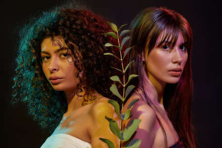 Closeup portrait of two young female models with professional makeup looking at camera, posing with...
