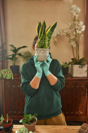 Female gardener wearing gloves holding a potted plant over her face while standing indoorsの写真素材