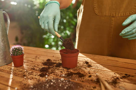 Farmer in special clothes transplanting a plantの写真素材