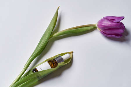 Glass bottle with organic oil lying above blooming tulip