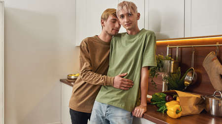 Male lovers hugging while standing on modern kitchenの写真素材