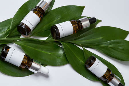 Pipette bottles with cosmetological oils on exotic leafの写真素材