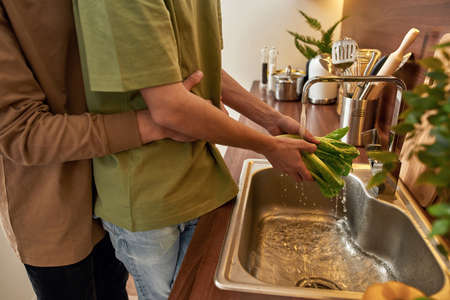 Hugging homosexual male couple washing saladの写真素材