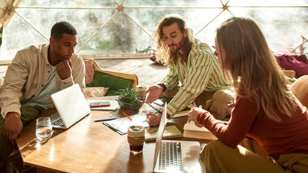 Young multiracial colleagues discussing project in tent