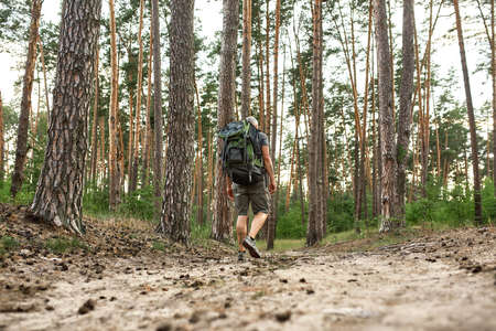 Rear view of mature caucasian man walking along pathの写真素材