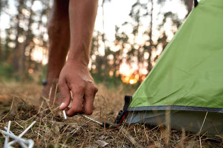 Close up shot of male hand setting up camping tent in forest at sunsetの写真素材