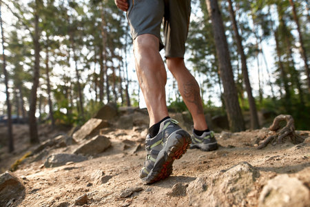 Muscular legs of caucasian man while trekking in forest