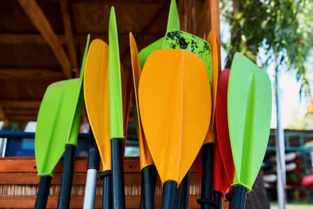 Set of different colorful kayak paddles in garageの写真素材