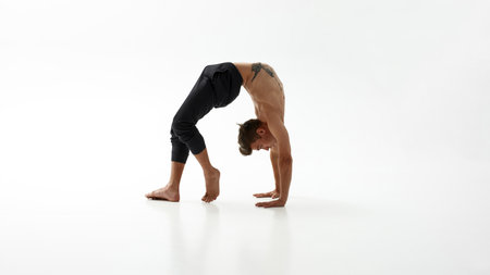 Flexible man dancer dancing classical ballet dance