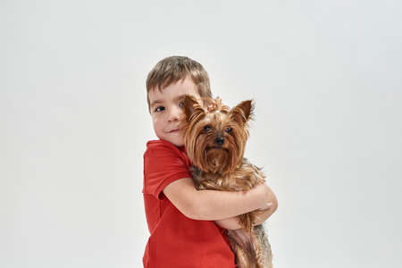 Little caucasian boy hugging Yorkshire Terrier dogの写真素材