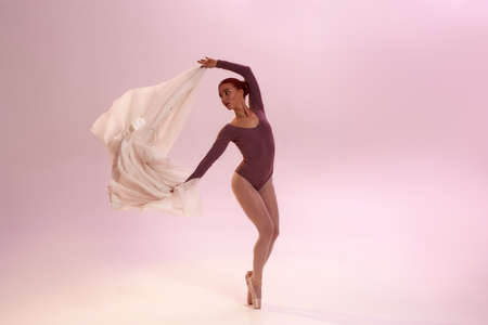 Female elegant ballerina dancing ballet with clothの写真素材