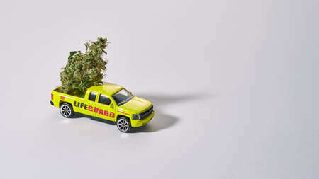 Toy car carrying dry marijuana on white backgroundの写真素材