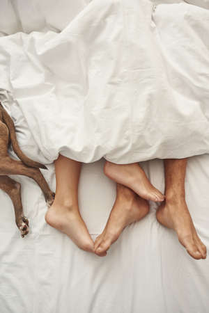 Partial of barefoot feet of couple and dog on bedの写真素材