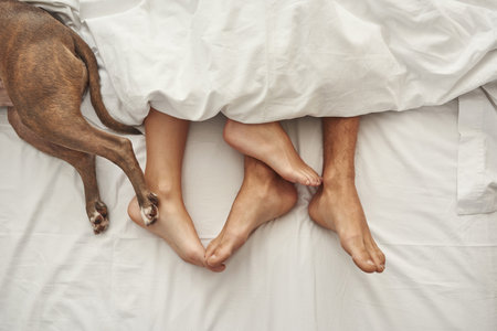 Cropped of barefoot feet of couple and dog on bedの写真素材