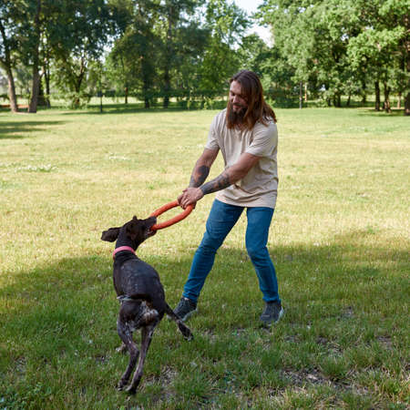 Man playing with Kurzhaar dog with rubber ring
