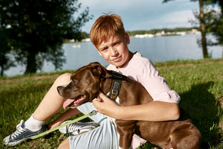 Caucasian boy hug Staffordshire Bull Terrier dog