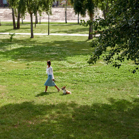 Side view of girl walk beautiful Corgi dog in parkの写真素材