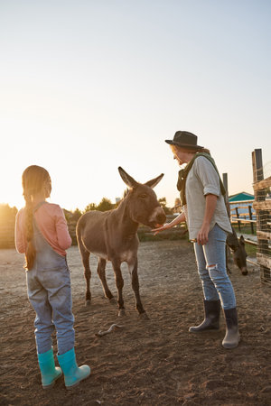 Mother and daughter feeding donkey in paddockの写真素材