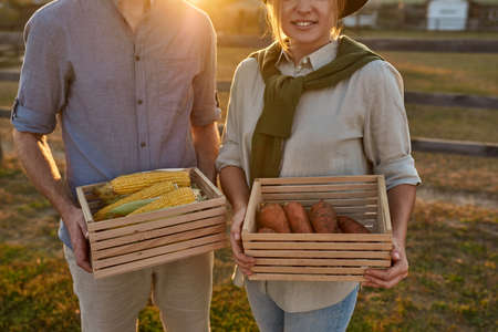 Cropped of farmer couple hold corn and carrotの写真素材