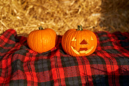 Fresh face pumpkings on blanket in barn with hayの写真素材