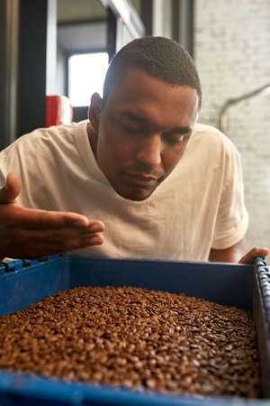 Barista inhal fresh natural roasted coffee beans