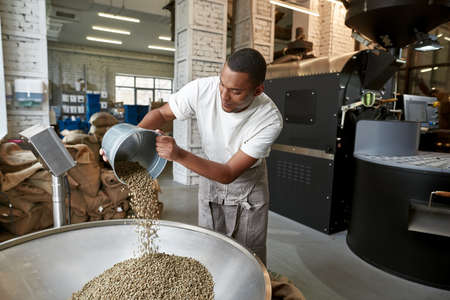 Worker pouring out natural coffee beans in grinderの写真素材