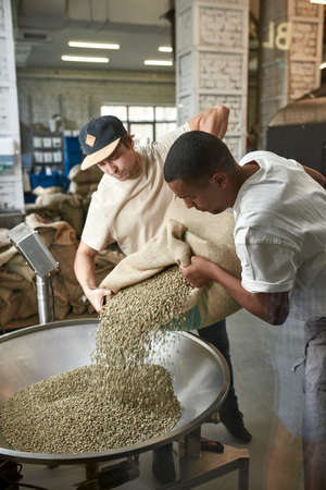 Workers pour out coffee beans from sack in grinderの写真素材