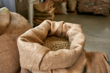 Sack ofgreen coffee beans on factory or warehouse