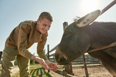 Smiling caucasian teenage guy feed donkey on farmの写真素材
