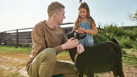Guy caress goat and look at sister with carrotの写真素材