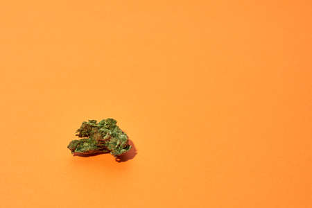 Green dry crushed marijuana bud isolated on orangeの写真素材