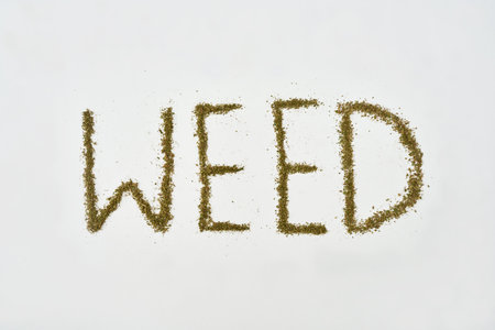 Weed word from dry marijuana on white backgroundの写真素材