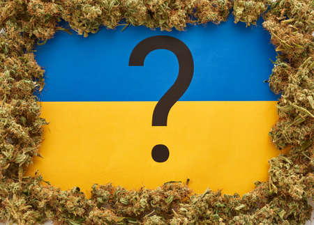 Marijuana buds with questing mark on Ukraine flag