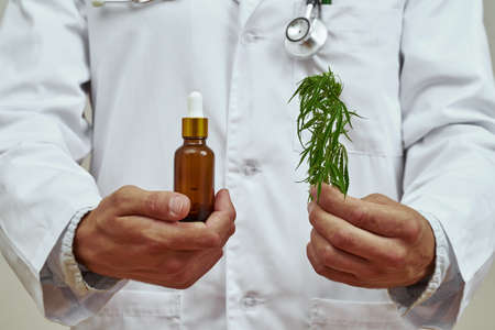 Cropped of male doctor hold marijuana leaf and oilの写真素材