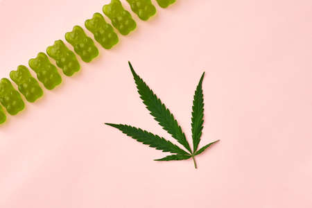 Green marijuana leaf and yummy teddy bear candiesの写真素材