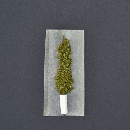 Top view of marijuana on paper for rolled jointの写真素材