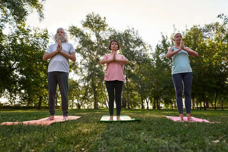 Bottom of elderly friends meditating on meadowの写真素材