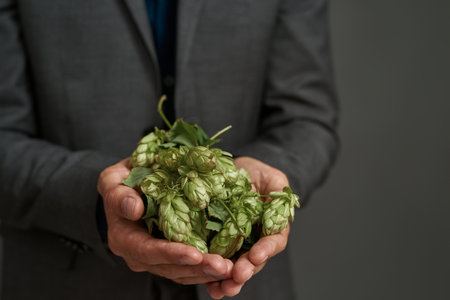 Close up of green hop in palms of cropped brewerの写真素材