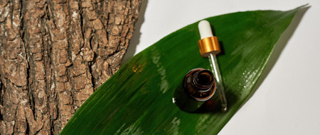 Top view of oil with dropper, tree bark and leafの写真素材