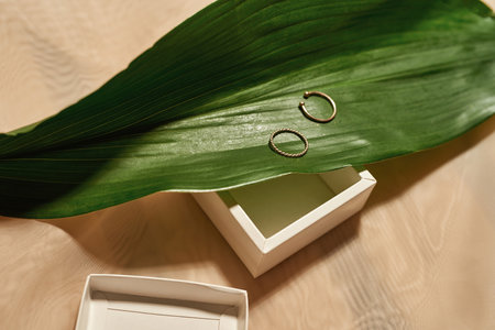 Golden wedding rings, big green leaf and open boxの写真素材