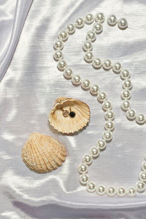Earrings and necklace with seashells on silk clothの写真素材