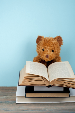 Back to school. Knitted blanket. Teddy bear reading a Open hardback book. Copy space for text.の写真素材