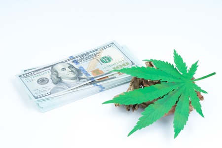 Legality of cannabis, legal and illegal cannabis on the world. law concept.の写真素材