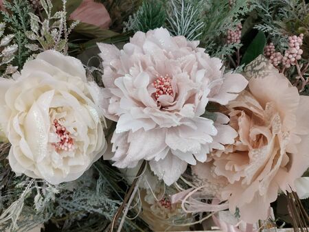 Christmas decor, flowers, decorations on Christmas trees on white background.の写真素材