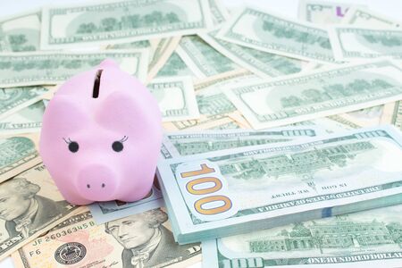 Pink piggy bank, dollars on a white background. savings concept, fundraising.の写真素材