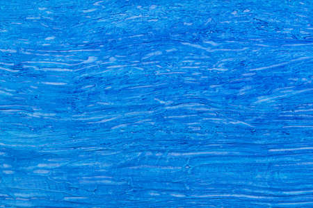 Texture of blue wood background closeup. Top view.の写真素材