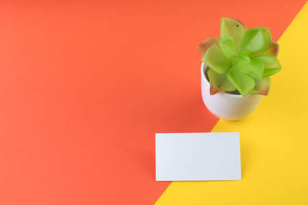 Business card blank over colorful background. Copy space for text. Top view.Business card blank over colorful abstract background. Corporate stationery branding mock-up. Copy space for text. Top view.の写真素材