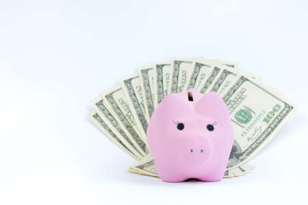 Pink piggy bank, dollars on a white background. savings concept, fundraising.の写真素材