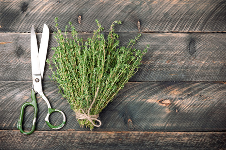 Fresh herbs. Bunch of thyme and scissors on old rustic wooden boards. Herbal background with copy space. Top viewの写真素材